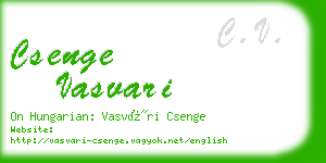 csenge vasvari business card